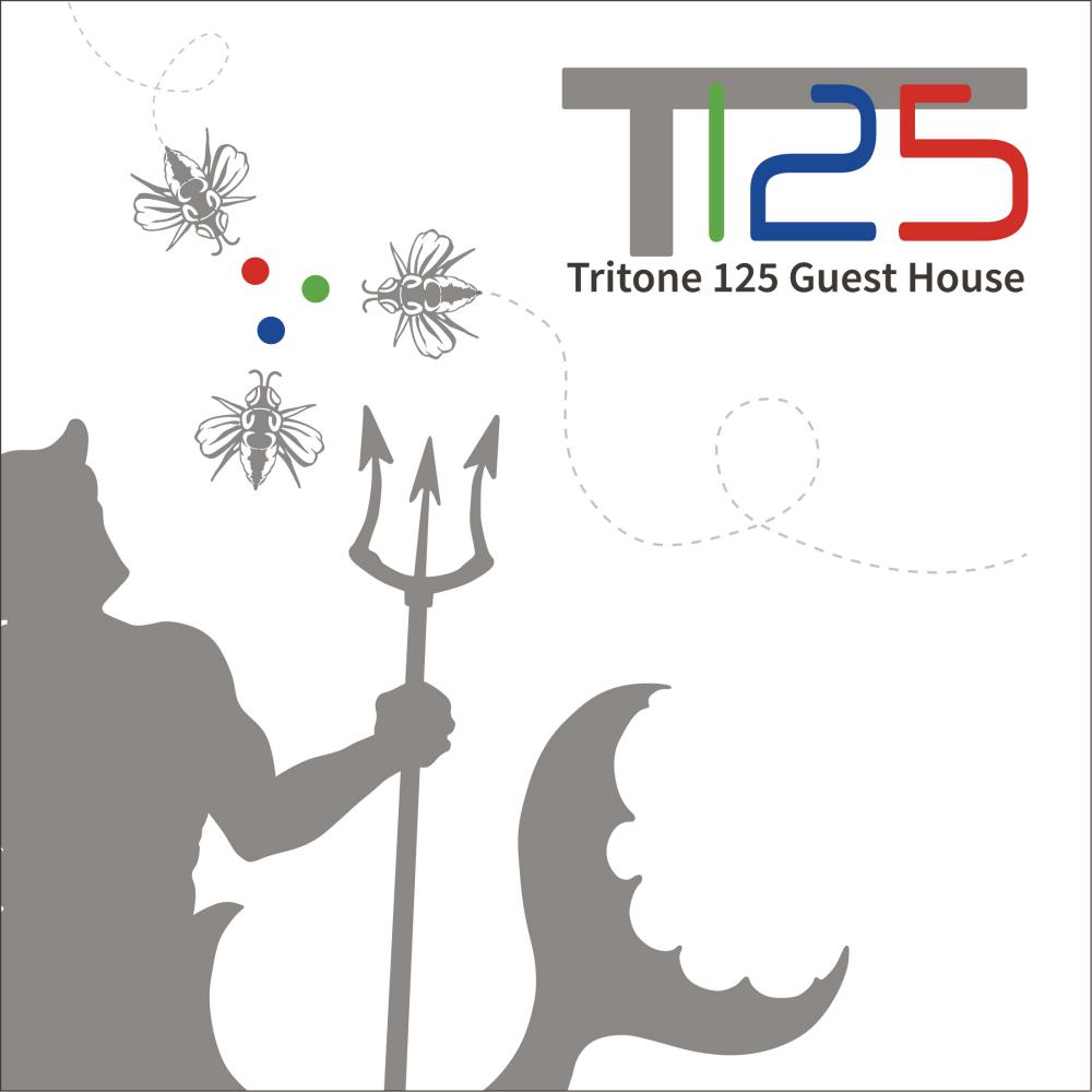 Tritone 125 Guesthouse - Roma